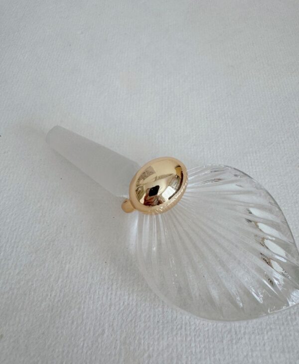 Gaia Metal Stylish Ring